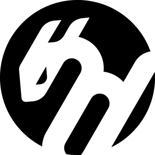 Black Dragons e-Sports