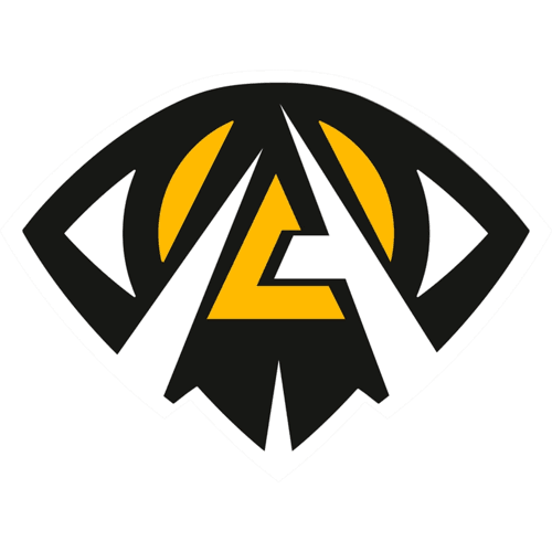 Anonymo Esports