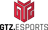 GTZ Esports