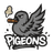 Pigeons